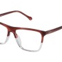 WOMAN GLASSES LOEWE  VLWA16M5301EV (Lens/Bridge/Temple) 53/15/140 mm)