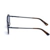 MAN SUNGLASSES WEB EYEWEAR  WE0233-90V (Lens/Bridge/Temple) 50/22/145 mm)