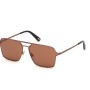 MAN SUNGLASSES WEB EYEWEAR  WE0261-6036E (Lens/Bridge/Temple) 60/14/145 mm)