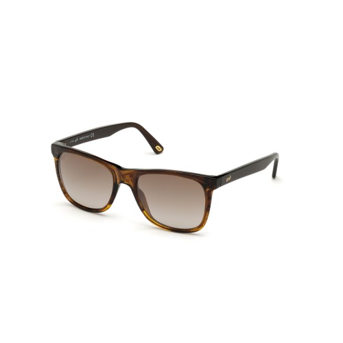 MAN SUNGLASSES WEB EYEWEAR  WE0279-5652G (Lens/Bridge/Temple) 56/19/145 mm)