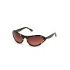 WOMAN SUNGLASSES WEB EYEWEAR  WE0288-6052F (Lens/Bridge/Temple) 60/18/125 mm)