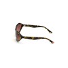 WOMAN SUNGLASSES WEB EYEWEAR  WE0288-6052F (Lens/Bridge/Temple) 60/18/125 mm)