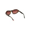 WOMAN SUNGLASSES WEB EYEWEAR  WE0288-6052F (Lens/Bridge/Temple) 60/18/125 mm)