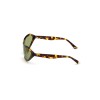 WOMAN SUNGLASSES WEB EYEWEAR  WE0288-6052N (Lens/Bridge/Temple) 60/18/125 mm)