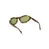WOMAN SUNGLASSES WEB EYEWEAR  WE0288-6052N (Lens/Bridge/Temple) 60/18/125 mm)