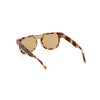 MAN SUNGLASSES WEB EYEWEAR  WE0315-0041F (Lens/Bridge/Temple) 00/0/145 mm)