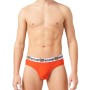 Moschino Bear Logo Cotton Briefs Orange