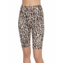 Moschino Leopard Print Cycling Shorts Brown