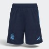 Adidas Argentina Navy Blue Soccer Shorts