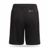 Adidas DFB Training Shorts Black