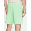 Adidas Happy Earth Mint Green Shorts