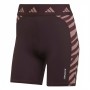 Adidas Performance Shorts Brown Striped