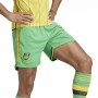 Adidas Jamaica Football Shorts Green